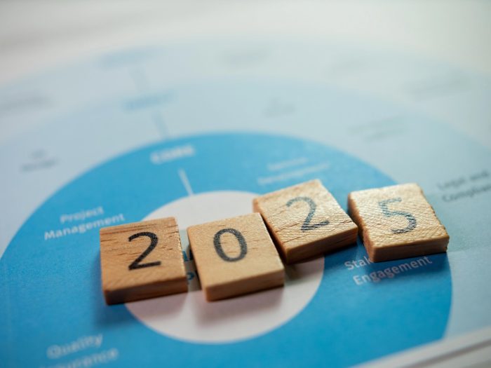 Diversifying Your Franchise Portfolio: Strategies for Success in 2025 and Beyond