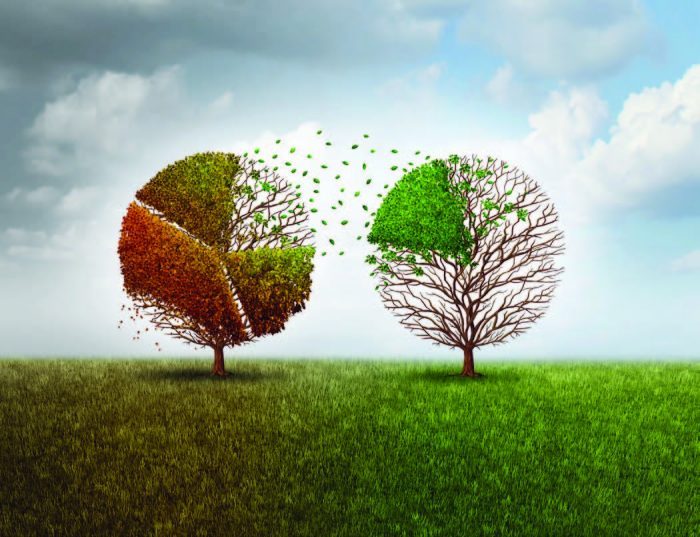 The Silent Killer of Franchise Growth