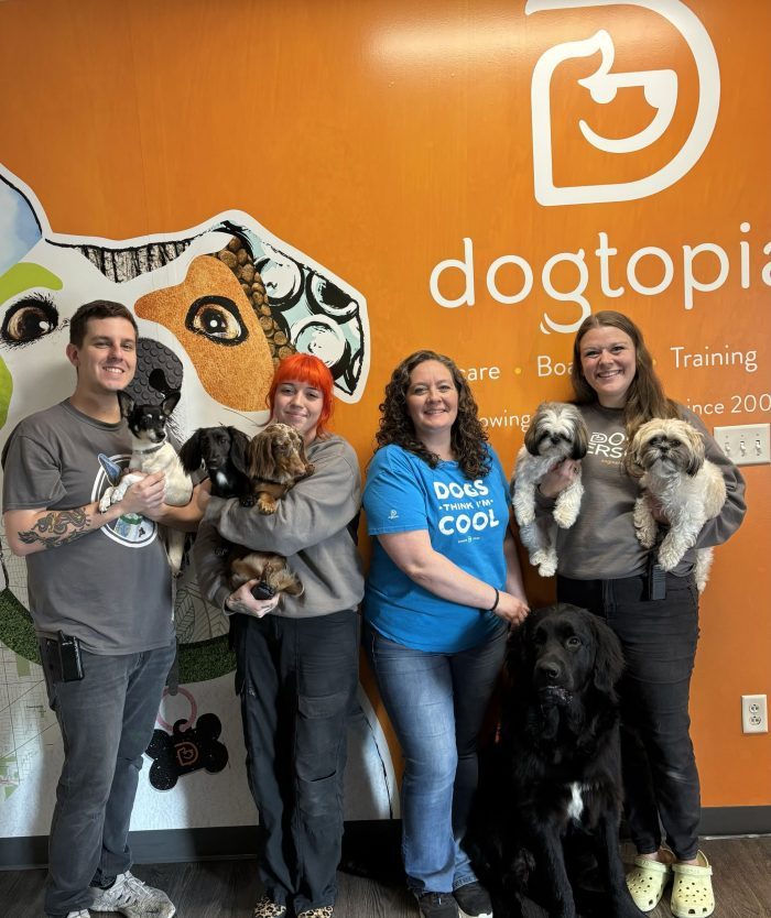 From Doubt to Destiny: Theresa Napolitano’s Empowering Journey to Dogtopia Ownership
