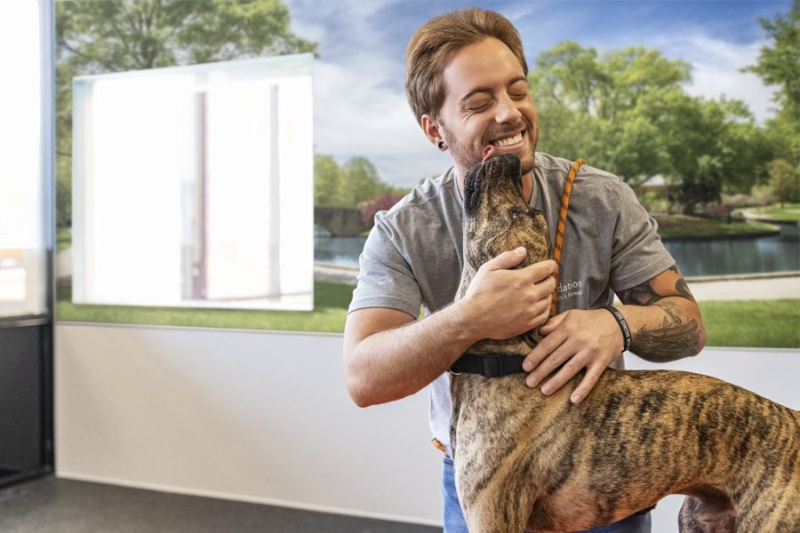 Unleash the Love: Dogtopia Foundation Joins Forces with the Dogs of Dogtopia to Launch Fetch It Forward Fundraising Campaign During National Service Dog Month