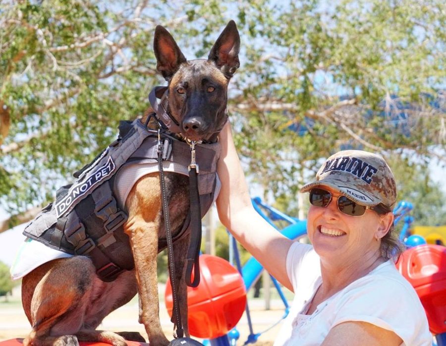 Dog Training Elite Supports Veterans in Obtaining and Training Service Dogs with The Malinois Foundation