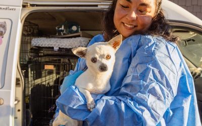 Pet Supplies Plus Donates Nearly $20,000 in Pet Necessities to Support Best Friends Animal Society Amid California Wildfire Relief Efforts