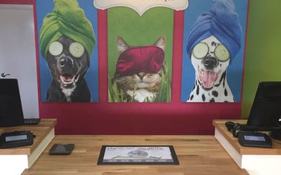 Splash and Dash Expands to Watertown with a Brand-New Location!
